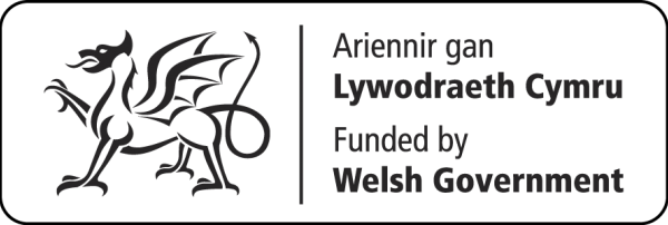 Online activities group for older people project funded by the Welsh Government